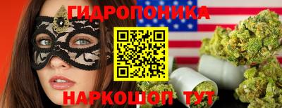 бошки Дубна