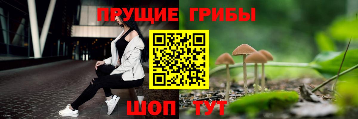 Галлюциногенные грибы Psilocybe Лысьва